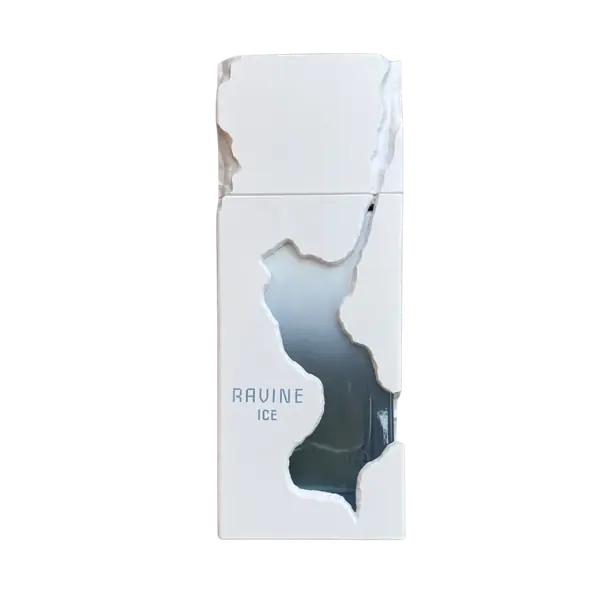 french aveneue men ravine ice 100ml xdp french aveneue men ravine ice 100ml xdp